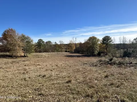 3115 Attala Road 4007, Sallis, MS 39160
