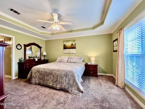 111 Cherry Laurel Cir, Pearl, MS 39208 photo 18