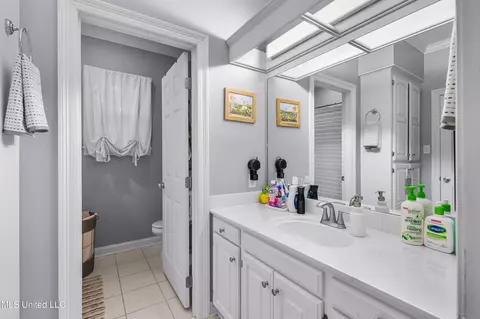 Bath - 109 Oakbrook Ct, Brandon, MS 39047 photo 7 of 8