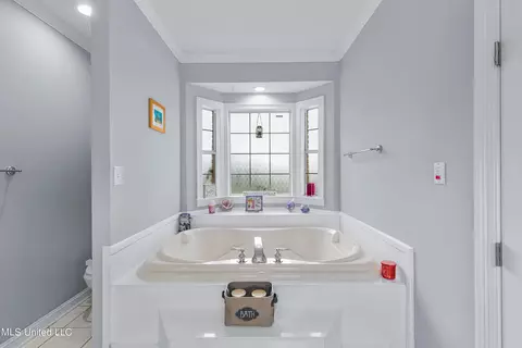 Bath - 109 Oakbrook Ct, Brandon, MS 39047 photo 5 of 8