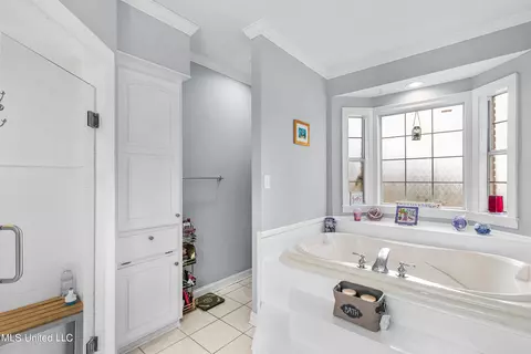 Bath - 109 Oakbrook Ct, Brandon, MS 39047 photo 6 of 8
