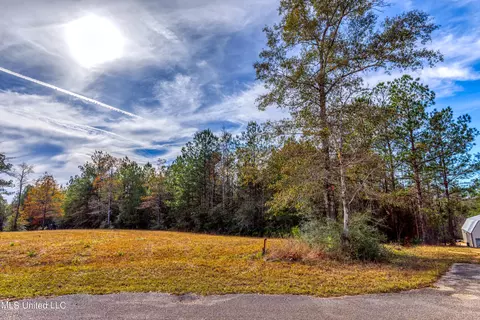 Hunters Walk, Wiggins, MS 39577 photo 8