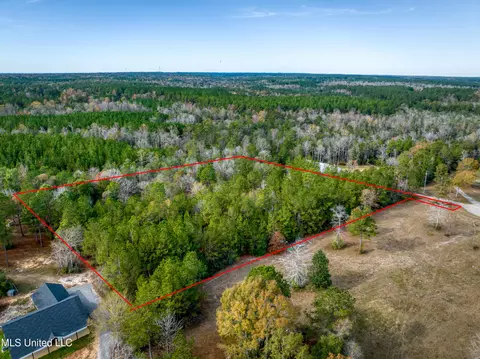 Hunters Walk, Wiggins, MS 39577 photo 3