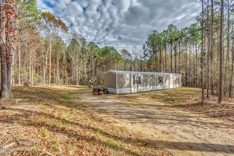 208 Tate St, Pelahatchie, MS 39145