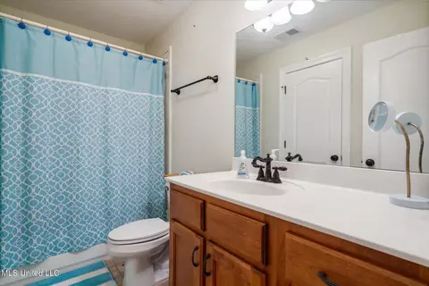 Bath - 1174 Greers Landing Dr, Hernando, MS 38632 photo 4 of 4