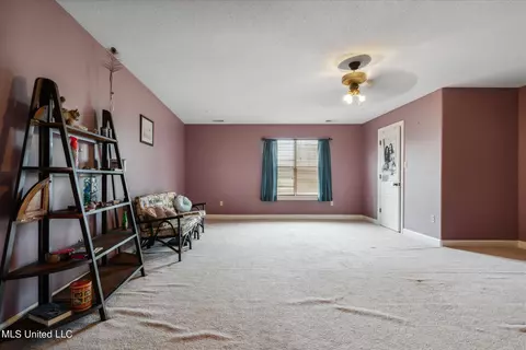 Other - 1174 Greers Landing Dr, Hernando, MS 38632 photo 4 of 5