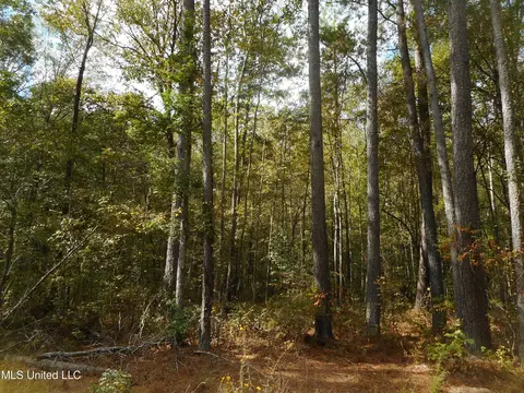 Bill Banks Road, Brandon, MS 39042