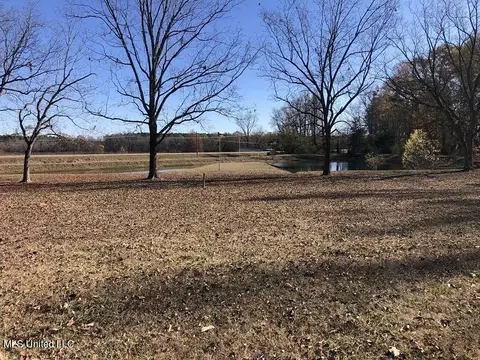 8215 Hwy 51, Vaiden, MS 39176