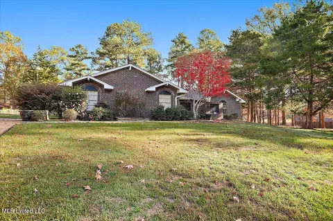 110 Long Meadow Ct, Brandon, MS 39042 photo 3