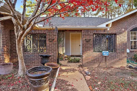 110 Long Meadow Ct, Brandon, MS 39042 photo 5