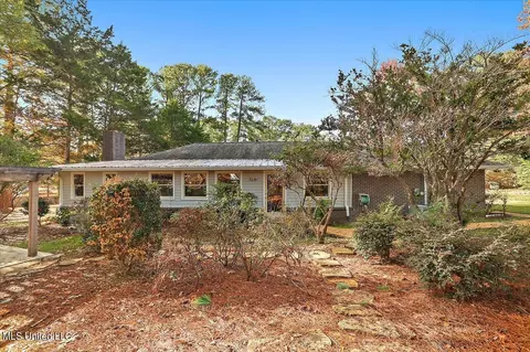 110 Long Meadow Ct, Brandon, MS 39042 photo 46
