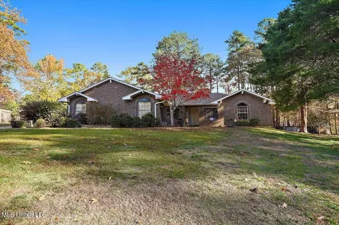 110 Long Meadow Ct, Brandon, MS 39042