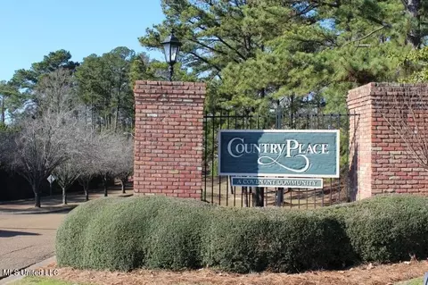 View/Area - 747 Pine Vly, Pearl, MS 39208 photo 1 of 2