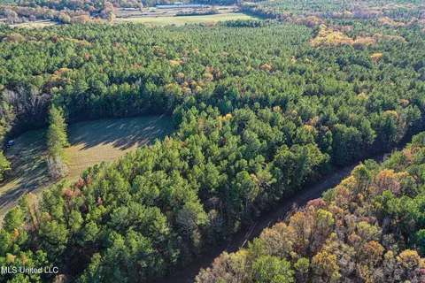 S Highway 43, Kosciusko, MS 39090 photo 43