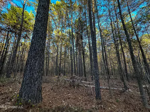S Highway 43, Kosciusko, MS 39090 photo 10