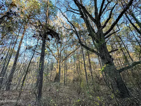 S Highway 43, Kosciusko, MS 39090 photo 20