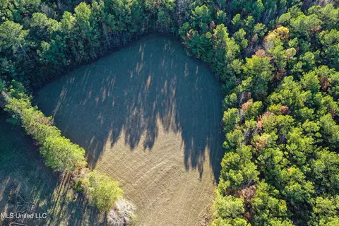 S Highway 43, Kosciusko, MS 39090 photo 6