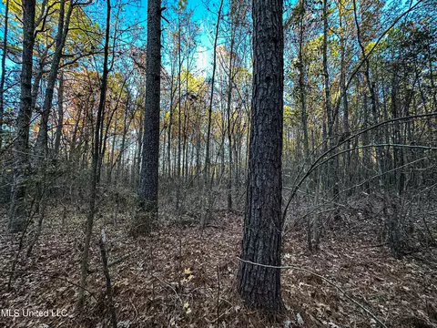 S Highway 43, Kosciusko, MS 39090 photo 30