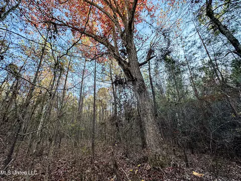 S Highway 43, Kosciusko, MS 39090 photo 32