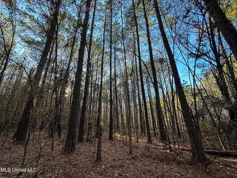 S Highway 43, Kosciusko, MS 39090 photo 24