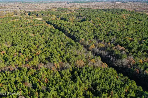 S Highway 43, Kosciusko, MS 39090 photo 52