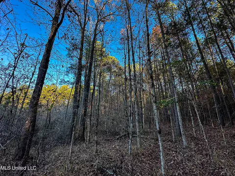 S Highway 43, Kosciusko, MS 39090 photo 34