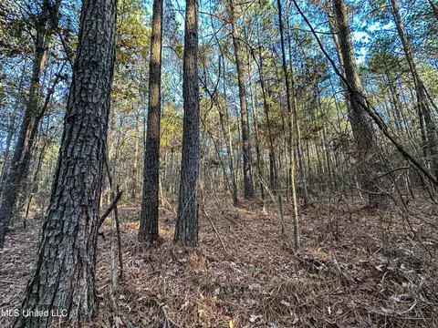 S Highway 43, Kosciusko, MS 39090 photo 5