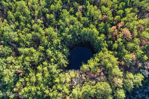 S Highway 43, Kosciusko, MS 39090 photo 53