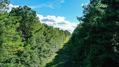 S Highway 43, Kosciusko, MS 39090 photo 46