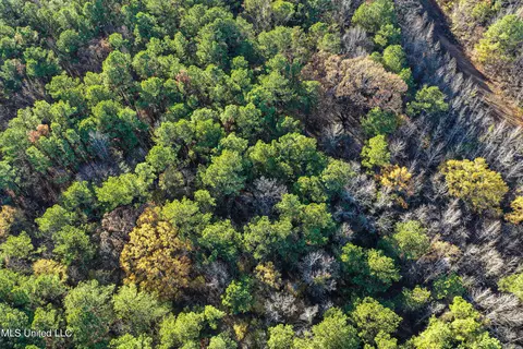 S Highway 43, Kosciusko, MS 39090 photo 47