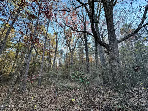 S Highway 43, Kosciusko, MS 39090 photo 18