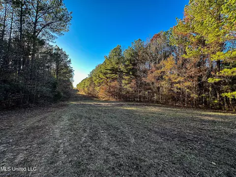 S Highway 43, Kosciusko, MS 39090 photo 9