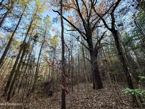 S Highway 43, Kosciusko, MS 39090 photo 22