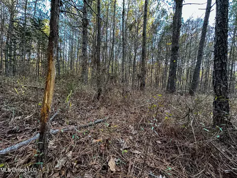 S Highway 43, Kosciusko, MS 39090 photo 13
