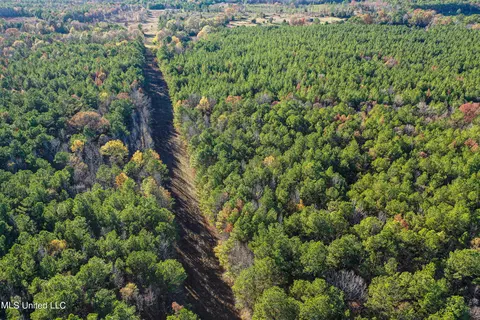 S Highway 43, Kosciusko, MS 39090 photo 48