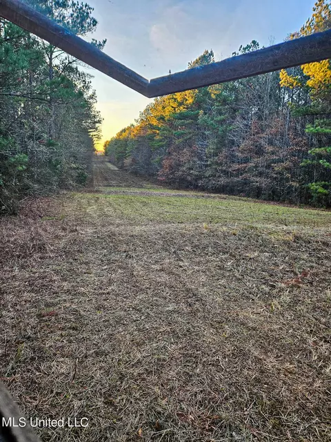 S Highway 43, Kosciusko, MS 39090 photo 15