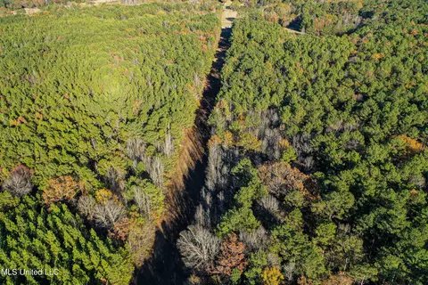 S Highway 43, Kosciusko, MS 39090 photo 50