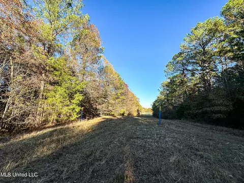 S Highway 43, Kosciusko, MS 39090 photo 38