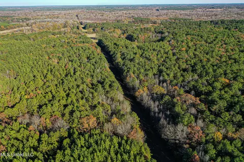 S Highway 43, Kosciusko, MS 39090 photo 29