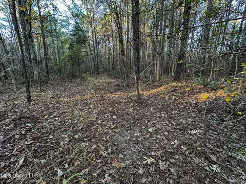 S Highway 43, Kosciusko, MS 39090 photo 36