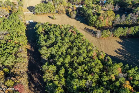 S Highway 43, Kosciusko, MS 39090 photo 12