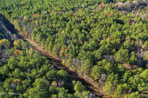 S Highway 43, Kosciusko, MS 39090 photo 25