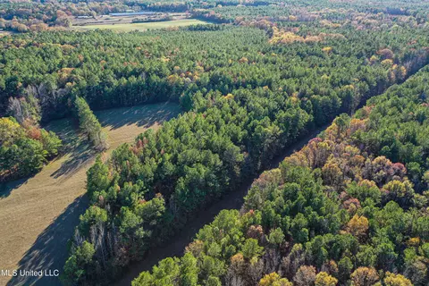 S Highway 43, Kosciusko, MS 39090 photo 56