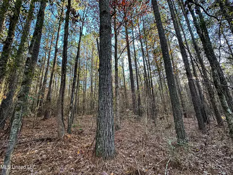 S Highway 43, Kosciusko, MS 39090 photo 7