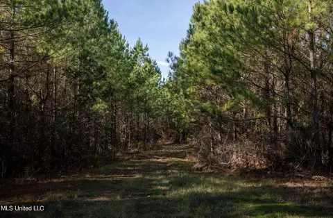 4066 Tower Rd, Hazlehurst, MS 39083 photo 26