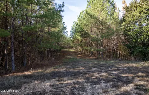 4066 Tower Rd, Hazlehurst, MS 39083 photo 28