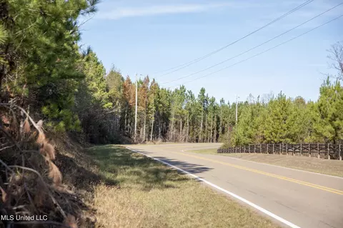 4066 Tower Rd, Hazlehurst, MS 39083 photo 14