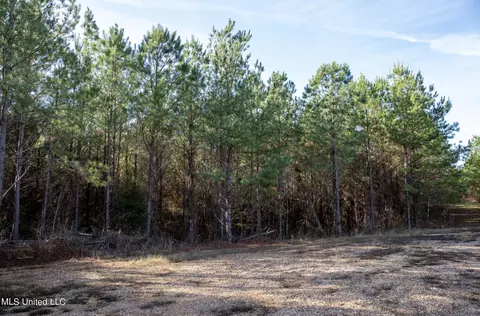 4066 Tower Rd, Hazlehurst, MS 39083 photo 22