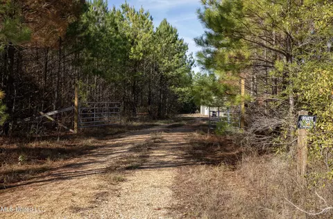 4066 Tower Rd, Hazlehurst, MS 39083 photo 2