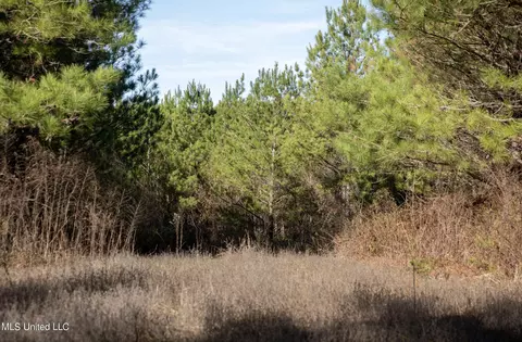4066 Tower Rd, Hazlehurst, MS 39083 photo 18